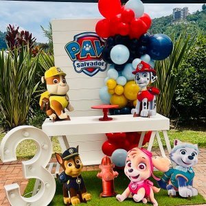fiesta paw patrol